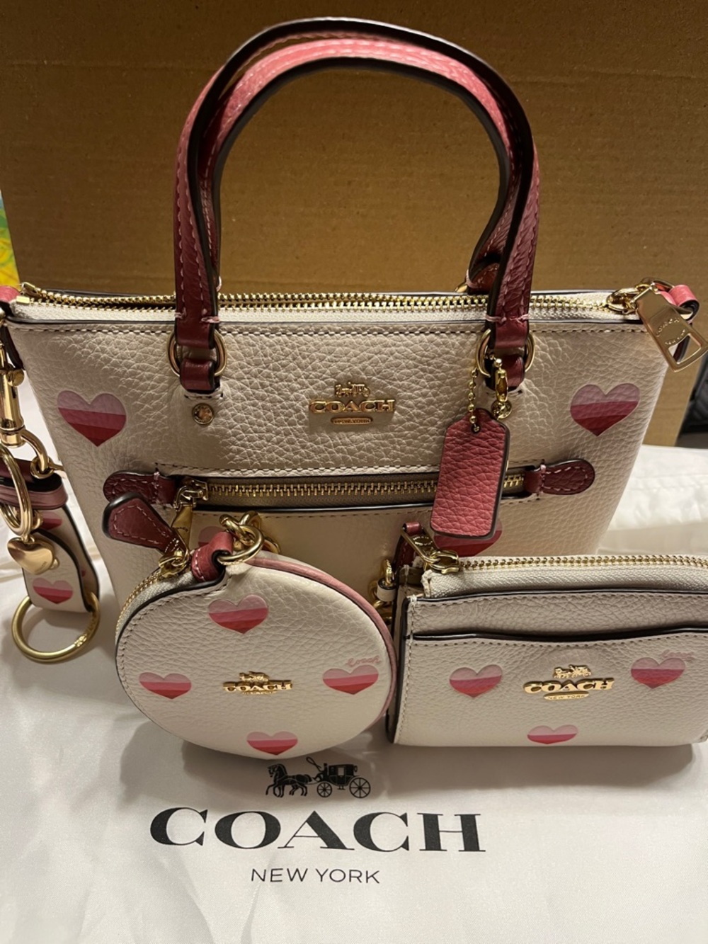 NWOT Coach Pebbled Leather Mini Tote with Pink Heart Print Set